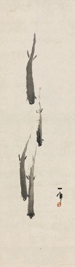 藏品:魚的(1)張圖片