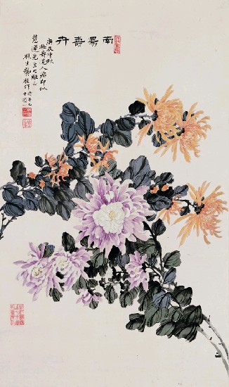 藏品:菊花的(1)張圖片