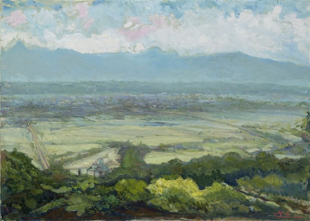 藏品:大溪即景的(1)張圖片