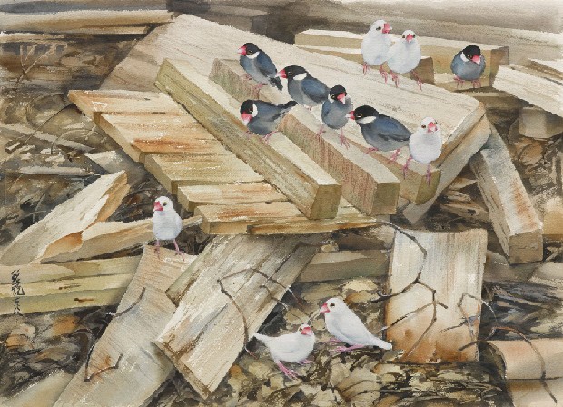 藏品:文鳥圖的(1)張圖片