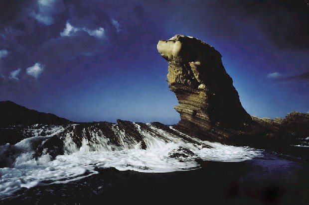 藏品:希望的(1)張圖片