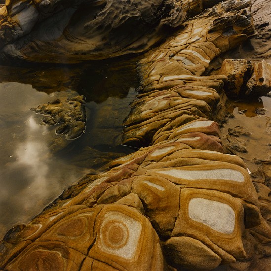 藏品:吐司麵包的(1)張圖片