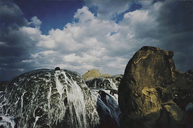 藏品:生命之泉的(1)張圖片