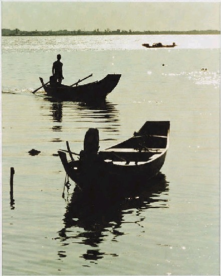 藏品:歸舟的(1)張圖片