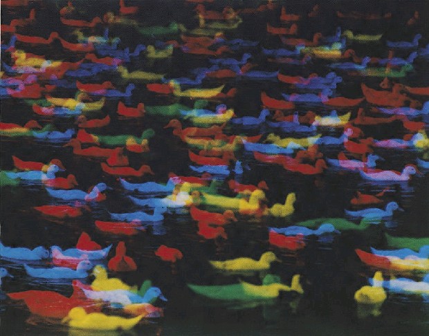 藏品:迷惘的(1)張圖片