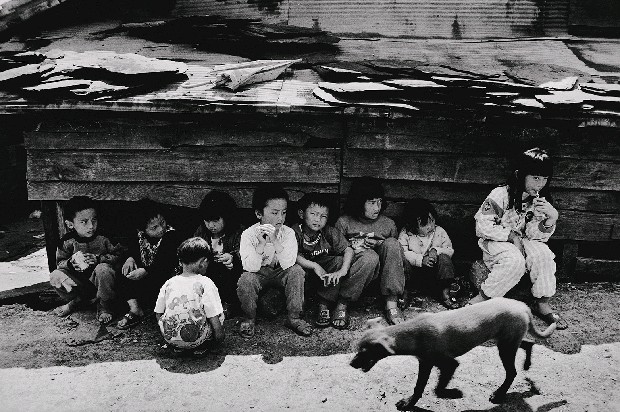藏品:部落的孩童(星期六下午)的(1)張圖片