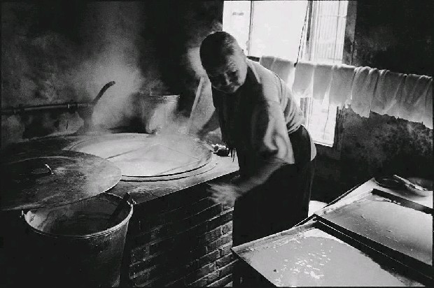 藏品:老邁不休的(1)張圖片
