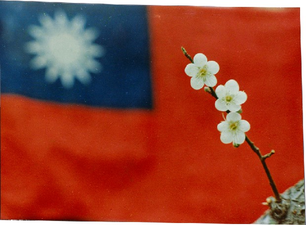 藏品:作品3(國色天香)的(1)張圖片