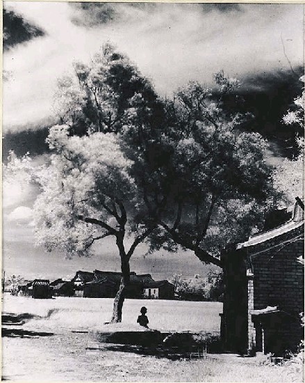 鄉村一景的焦點圖