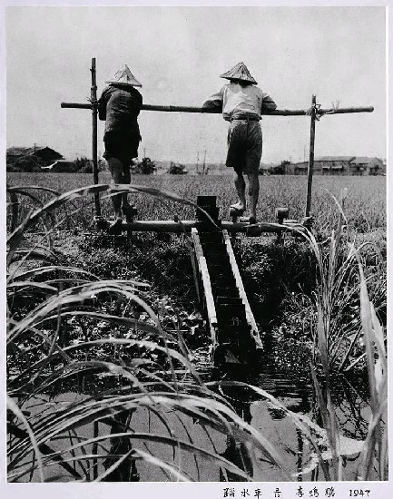 藏品:踏水車的(1)張圖片