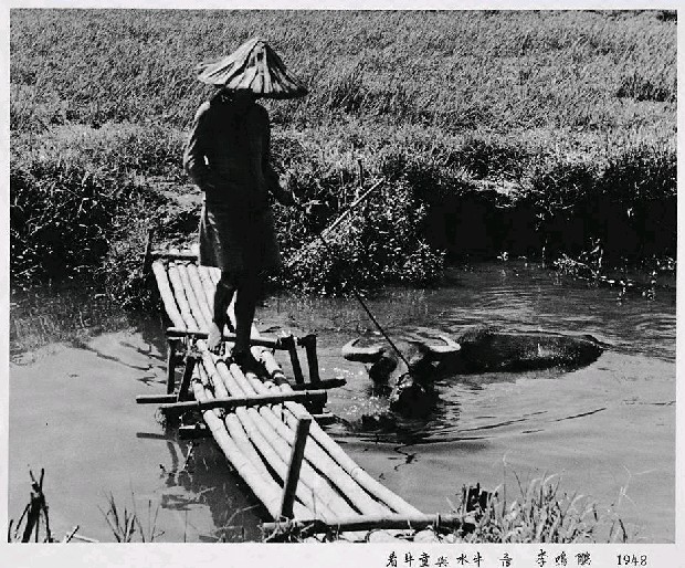 藏品:看牛童與水牛的(1)張圖片