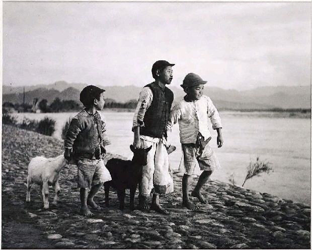 藏品:牧羊童的(1)張圖片