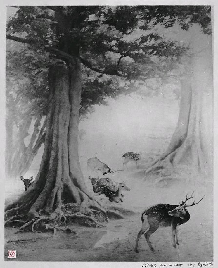 藏品:鹿苑長春的(1)張圖片