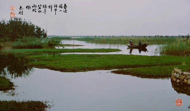 春波暖入河中棹,綠草碧水兩相依的焦點圖