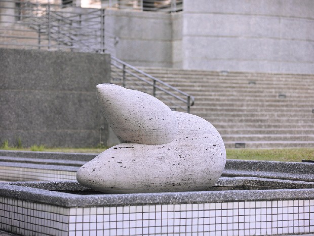 藏品:躍的(1)張圖片