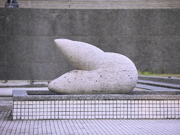 藏品:躍的(2)張圖片