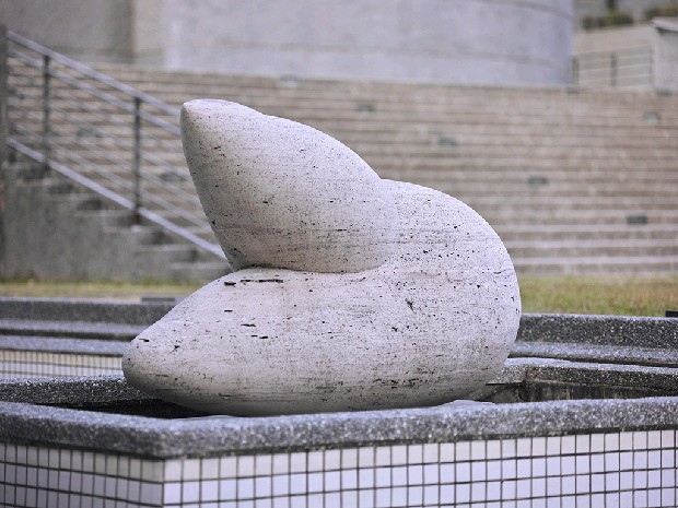 藏品:躍的(4)張圖片