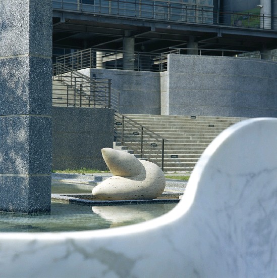 藏品:躍的(7)張圖片