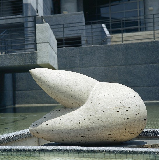 藏品:躍的(8)張圖片