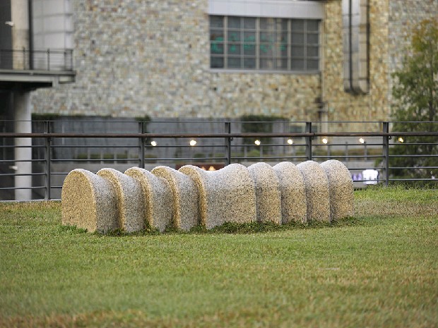 藏品:居位的(1)張圖片