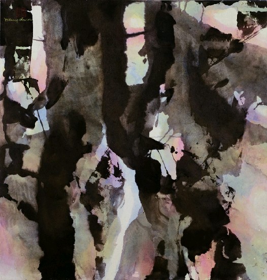 藏品:並列的記憶的(1)張圖片