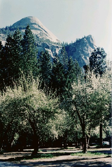 藏品:優詩美地 NO1的(1)張圖片