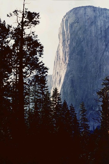 藏品:優詩美地 NO3的(1)張圖片