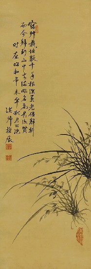 藏品:蘭花的(1)張圖片