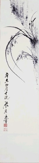 藏品:蘭花的(1)張圖片