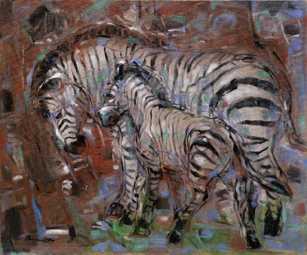 藏品:斑馬的(1)張圖片