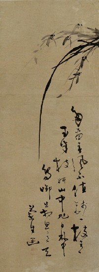 藏品:蘭花的(1)張圖片