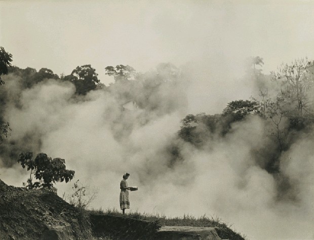 藏品:晨起登山讀．雲深不知處的(1)張圖片