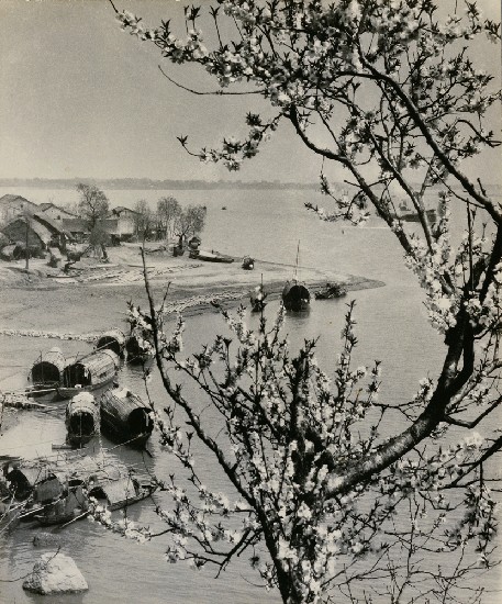 藏品:富春江畔－浙江的(1)張圖片