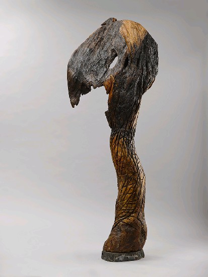 藏品:無題的(1)張圖片