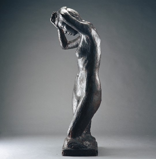 藏品:裸女(晨妝)的(5)張圖片