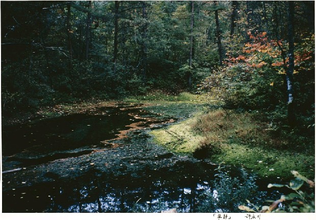 藏品:寧靜(日本五色沼)的(1)張圖片