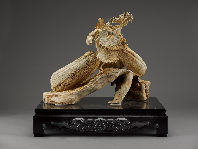 藏品:瓜瓞綿延的(3)張圖片