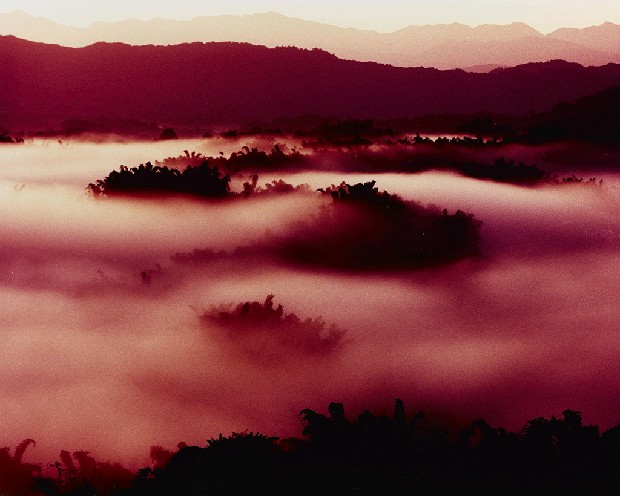 藏品:草山晨景的(1)張圖片