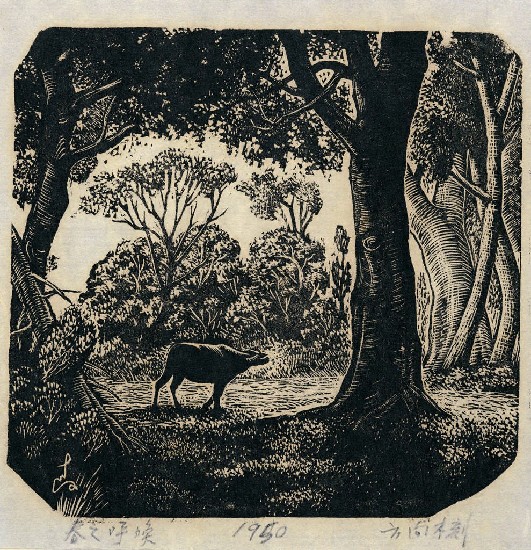 藏品:春之呼喚的(1)張圖片