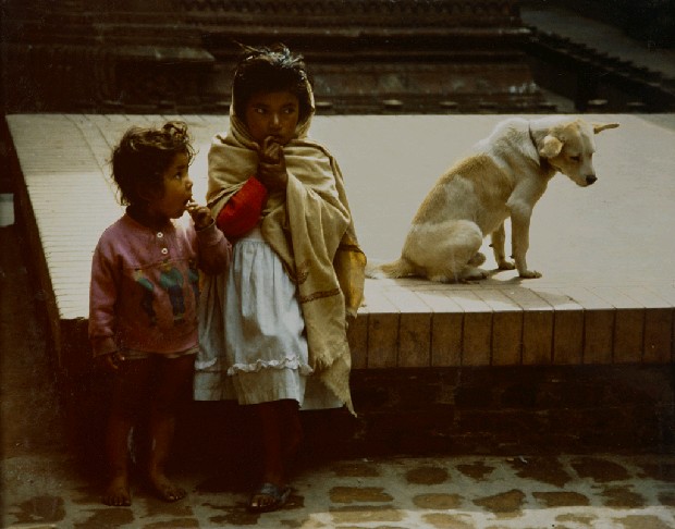 藏品:暖日的(1)張圖片