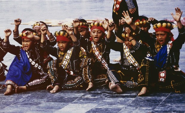 藏品:舞的(1)張圖片