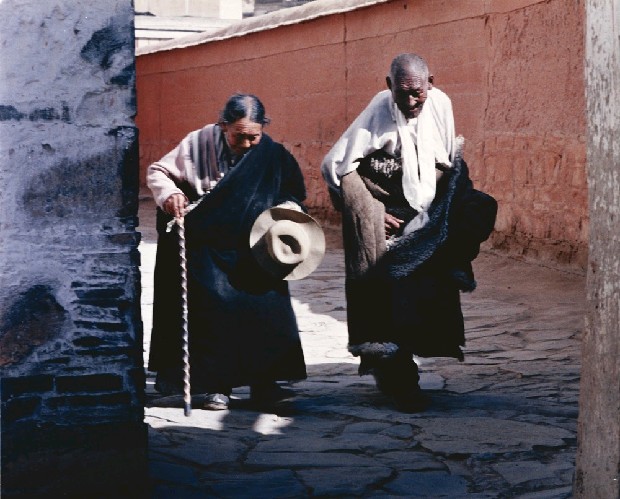 藏品:老夫老妻的(1)張圖片