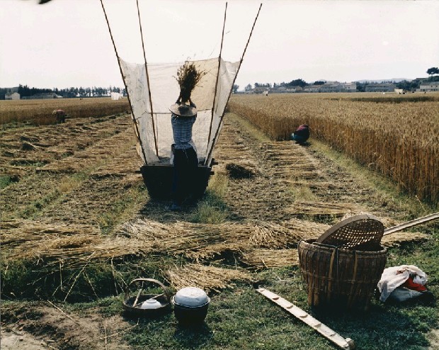 藏品:收割(二)的(1)張圖片