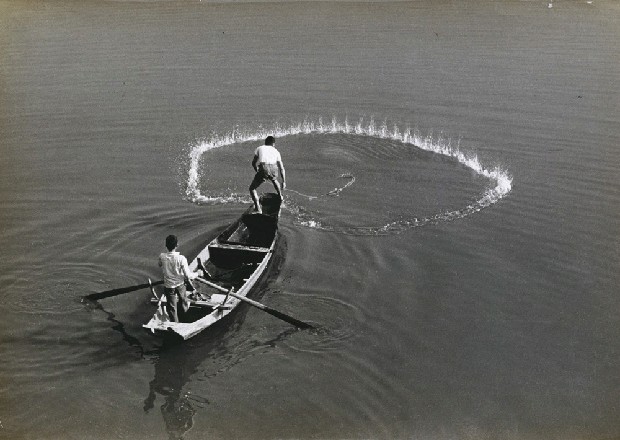 藏品:撤網的(1)張圖片