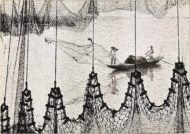 藏品:網罟搜江的(1)張圖片
