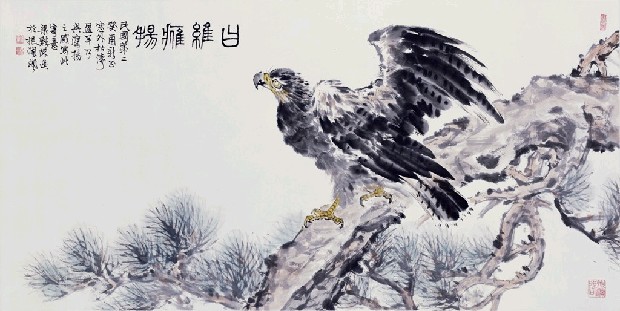 藏品:鷹的(1)張圖片