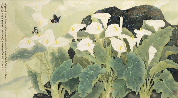 藏品:海芋的(1)張圖片