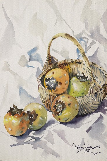 藏品:籃柿的(1)張圖片