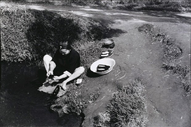 藏品:作品303(歲月)的(1)張圖片