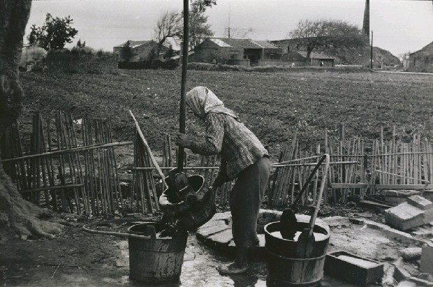 藏品:作品18(生活)的(1)張圖片